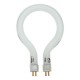 Replacement Ring Bulb