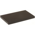 Testikivi 200x100x12 mm